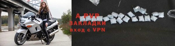 кокс Дмитриев