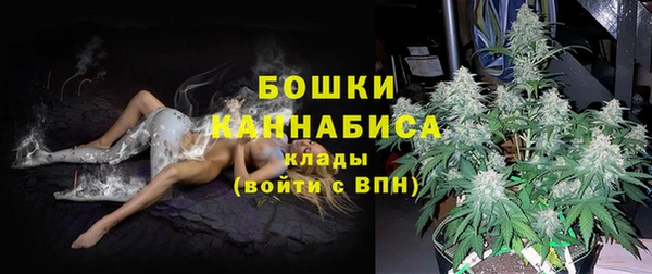кокс Дмитриев