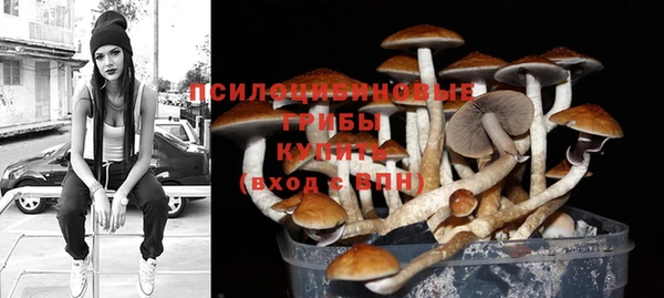 кокс Дмитриев